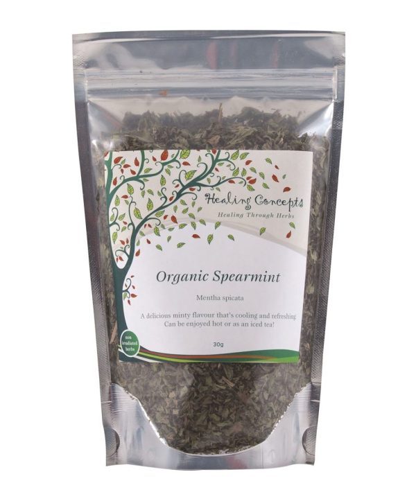 Healing Concepts Organic Spearmint Tea - Loose Leaf